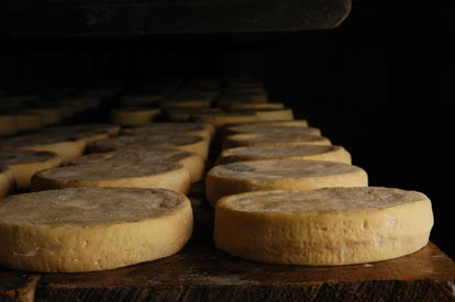 fromage munster